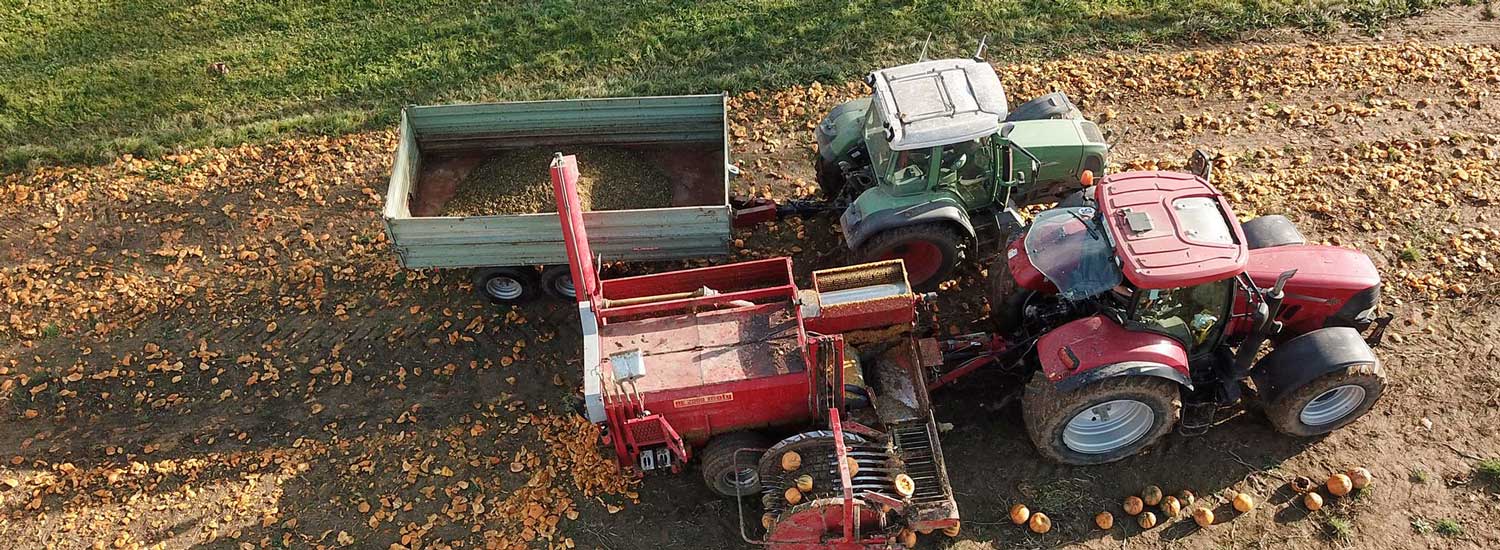 Ein Traktor auf einem Kürbisfeld.